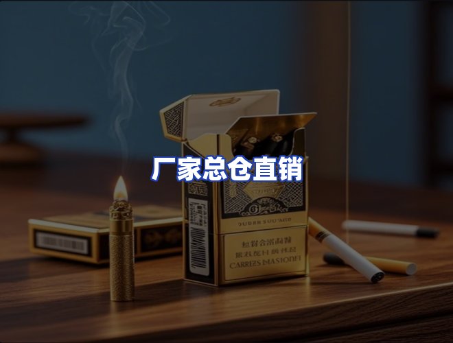 专业团队